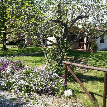 Agriturismo Sicomoro Villa Capalbio Exterior foto