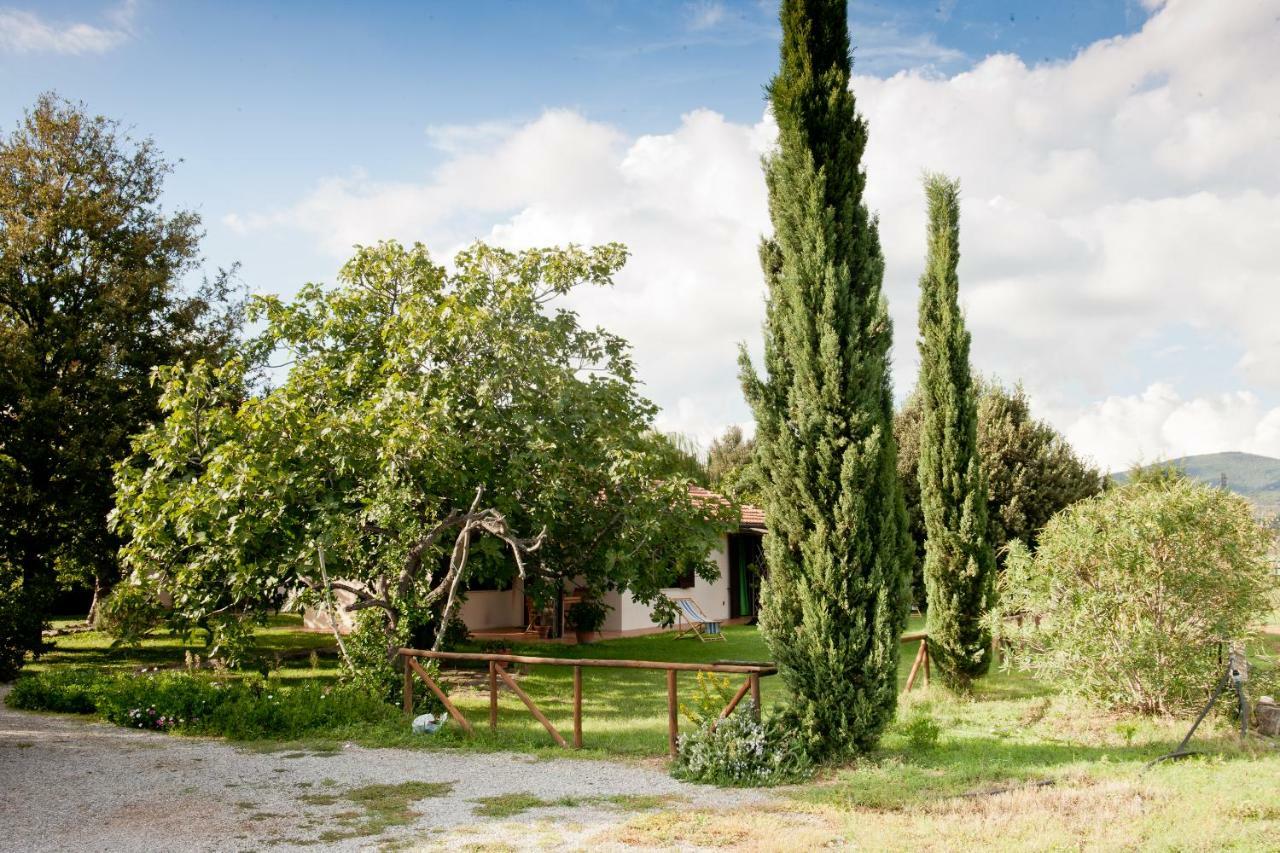 Agriturismo Sicomoro Villa Capalbio Exterior foto